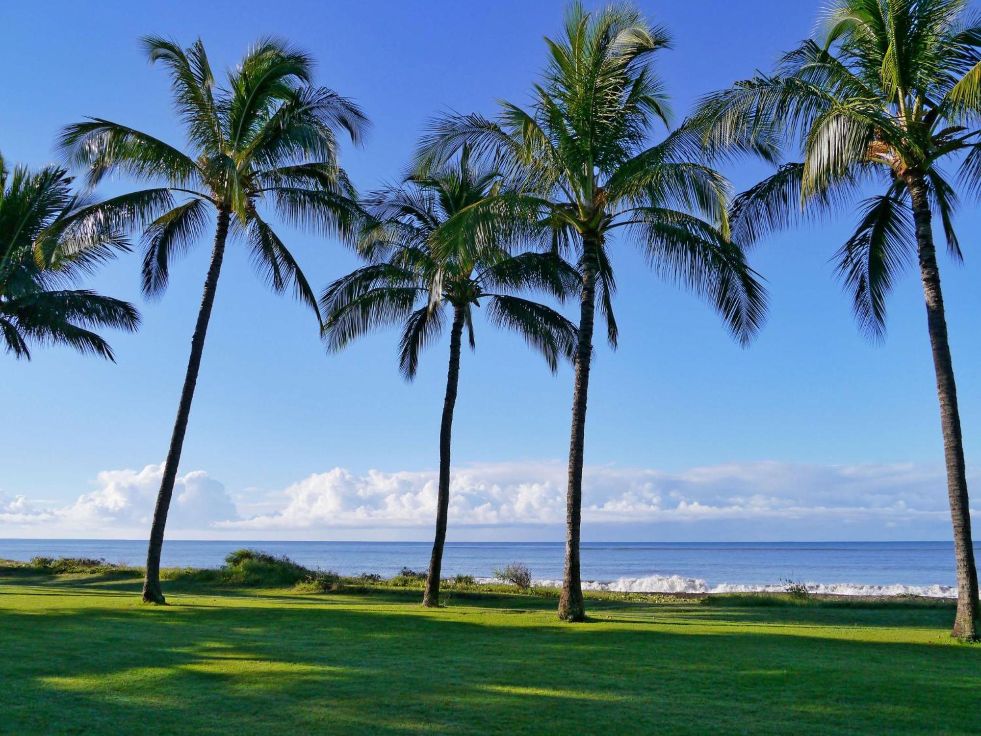 Waimea Plantation Cottages, A Coast Resort מראה חיצוני תמונה